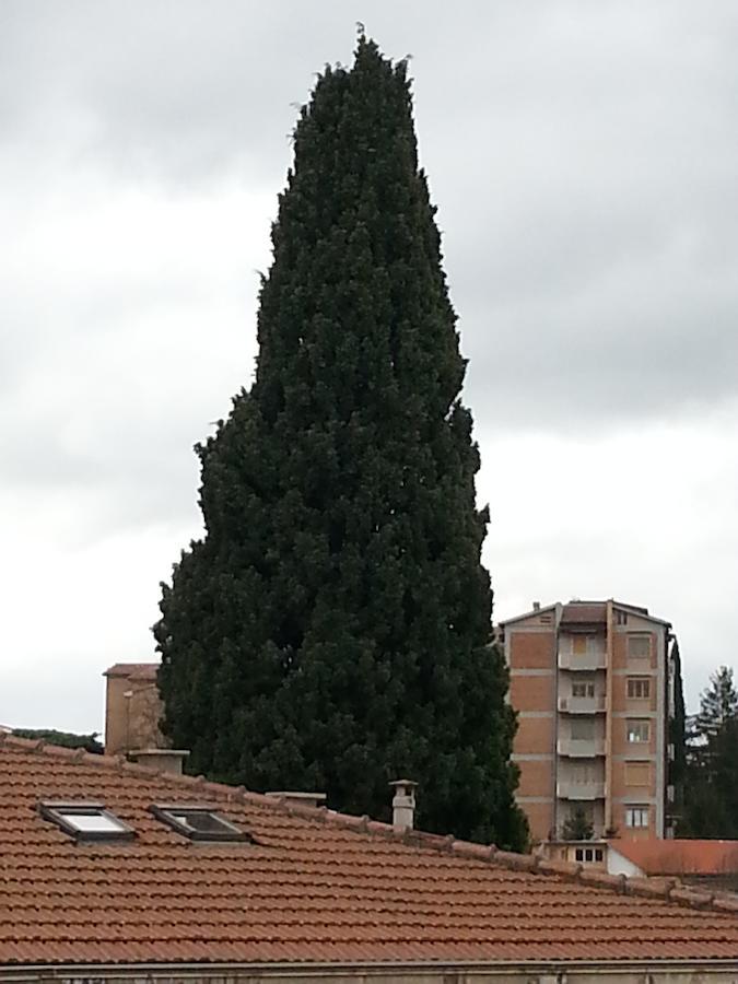 Soggiorno Iris Hotel Siena Exterior photo